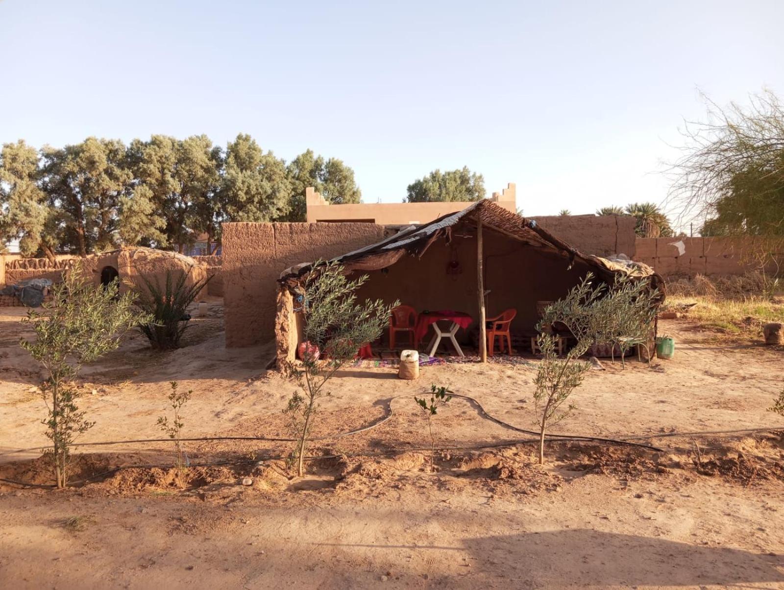La Maison-Berbere Mhamid Esterno foto